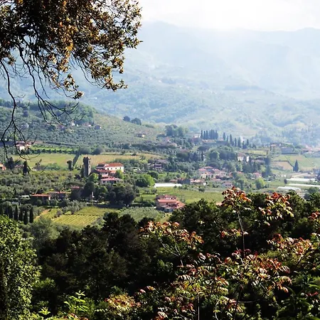 Country house Pedone Lucca