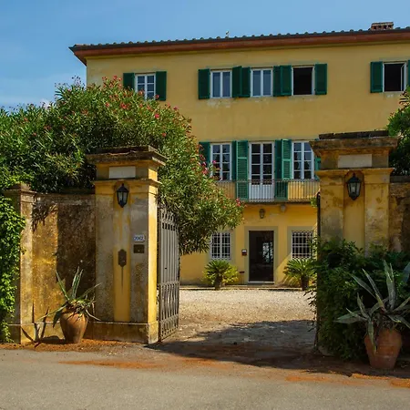 Landsted Pedone Lucca