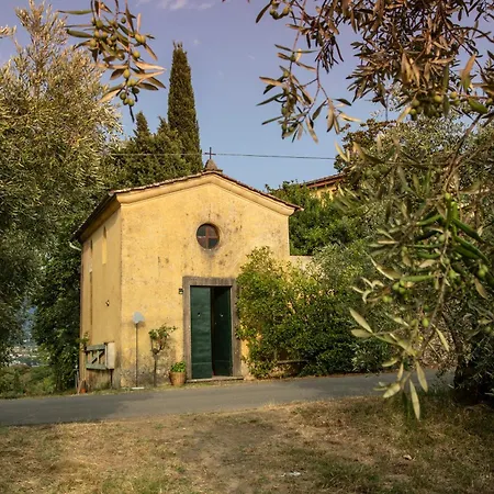 Pedone Landsted Lucca