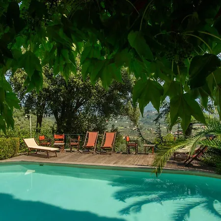 Country house Pedone Lucca